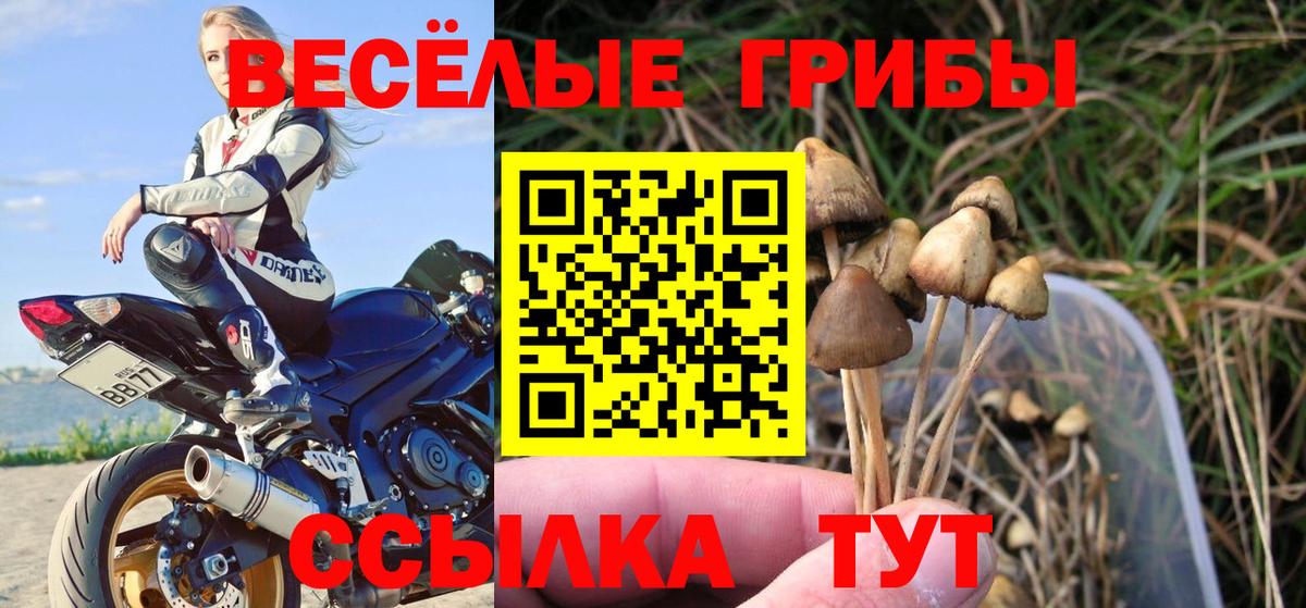 Лесосибирск  Канабис  ГАШИШ  Меф МЯУ МЯУ   КОКАИН  Вход с VPN  ГАШИШ 