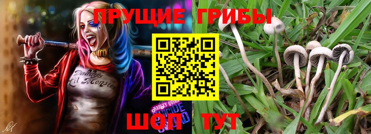 Галлюциногенные грибы ЛСД  Вход с VPN  Псилоцибиновые грибы мухоморы  Лесосибирск 