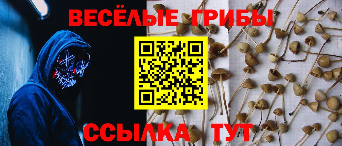 Псилоцибиновые грибы прущие грибы Лесосибирск